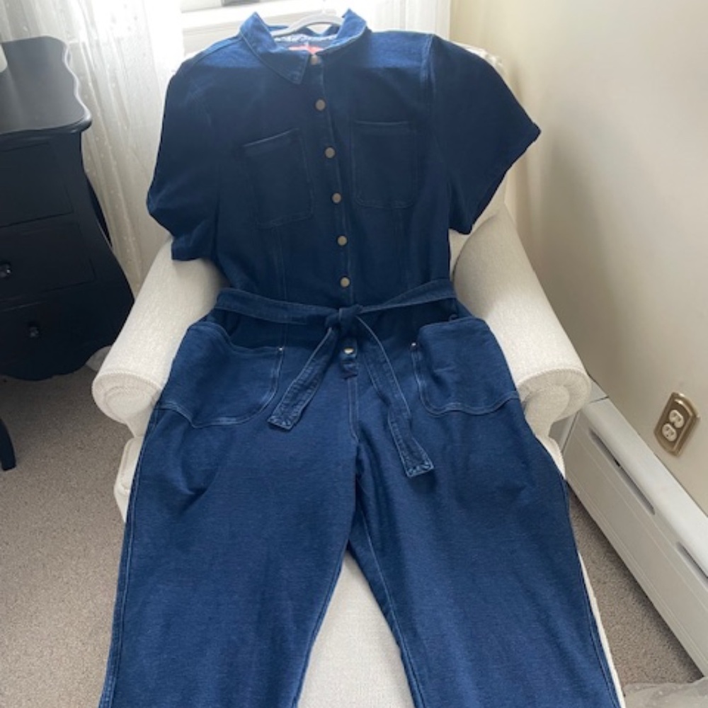 Mint Anthropologie Pilcro Women's Sz 3X Stretch Denim Button-down JUMPSUIT